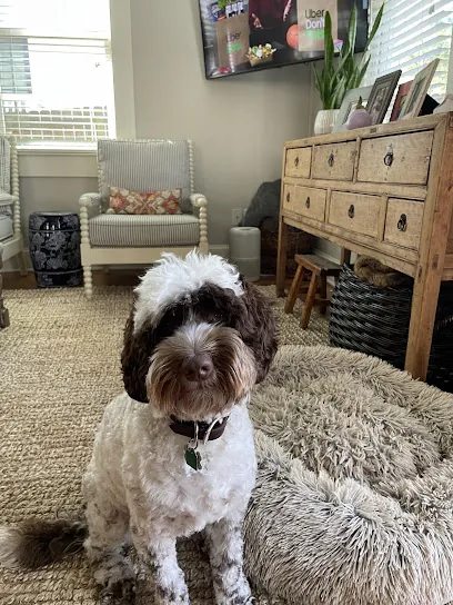 Fur Pets Mobile Grooming — photo from their website