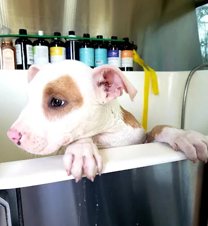 Fluffed Up Mobile Grooming — photo from their website