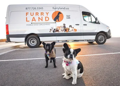 Furry Land Lubbock Texas — photo from their website