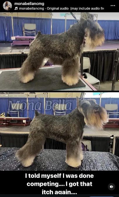 Mona Bella Mobile Dog Grooming — photo from their website