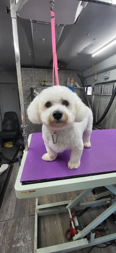 Kiss My Mutt Mobile Dog Grooming — photo from their website