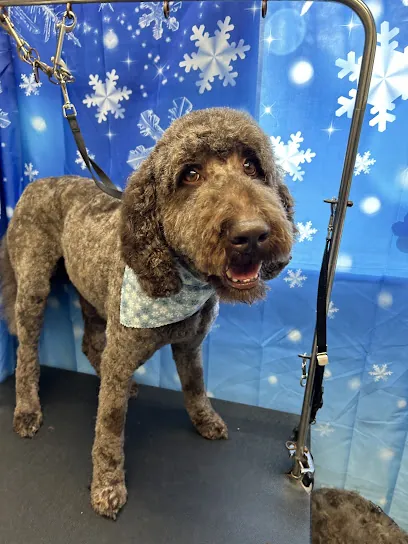 Sud Z Pawz Mobile Dog Grooming — photo from their website