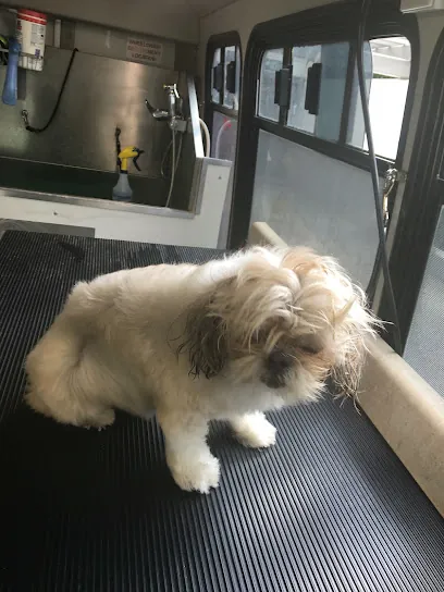 MJ's Pet Spaw & Boutique Cage Free Salon & Mobile Grooming — photo from their website