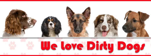 Mobile Dirty Dog Grooming — photo from their website