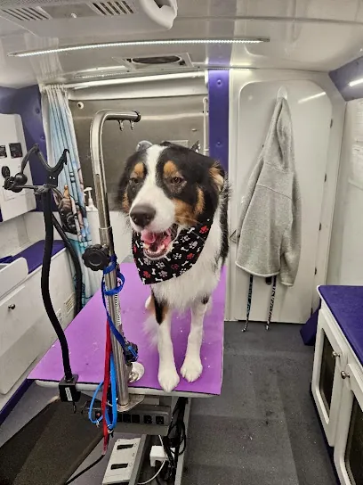 Bark Street Mobile Groomers llc — photo from their website