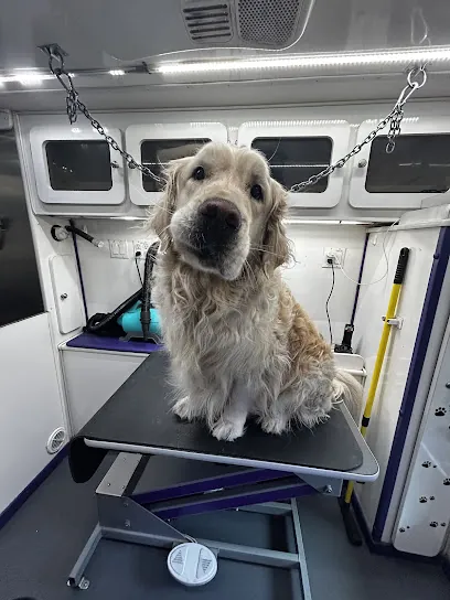 Pooch Wagon Mobile Dog Grooming — photo from their website