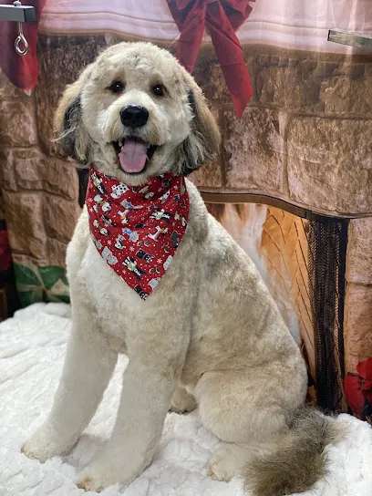 Glow Up Mobile Pet Styling — photo from their website