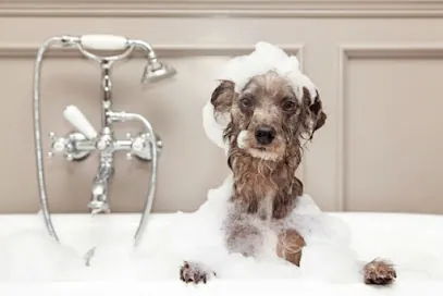 AZ Mobile Spaws — photo from their website