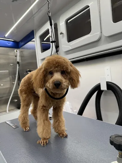 Paws and Relax Mobile Grooming — photo from their website