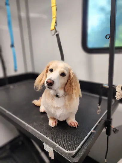 Pawsome Luxuries LLC Mobile Grooming — photo from their website