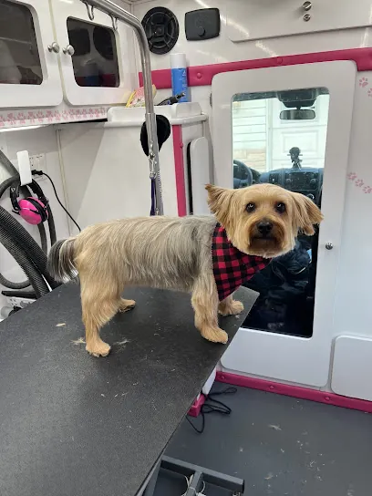 Pampered Paws Mobile Pet Grooming Salon — photo from their website