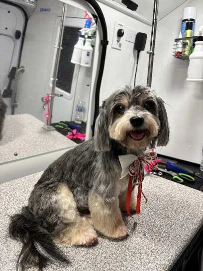 Puppyology Mobile Grooming — photo from their website