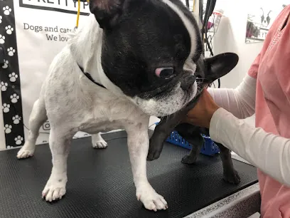 Pretty Pets Mobile Grooming — photo from their website