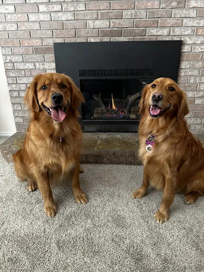 Mr Dog Hair - Dog Grooming Service - Mobile Dog Grooming - Dog Haircuts in Idaho Falls ID — photo from their website