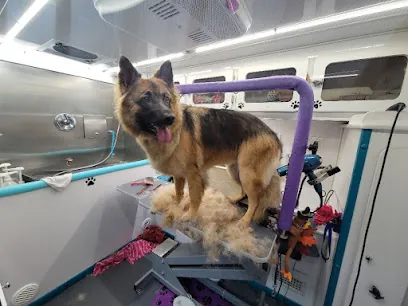 Collar Cuts Mobile Pet Grooming — photo from their website