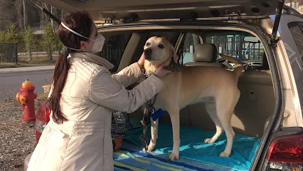 Loving Lotus Mobile Pet Care — photo from their website