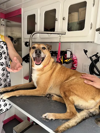 Bow Tie Mobile Pet Grooming — photo from their website