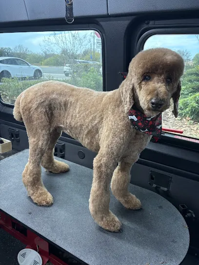Paws in the Fast Lane Mobile Grooming — photo from their website