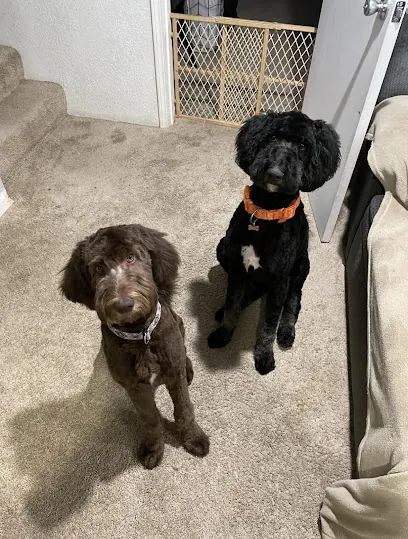 Melissa's Mobile Pet Spa — photo from their website