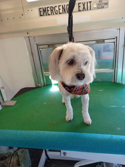 Drool Bus Mobile Grooming — photo from their website