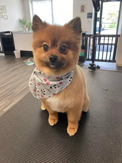 Imperial Canine Mobile Grooming — photo from their website