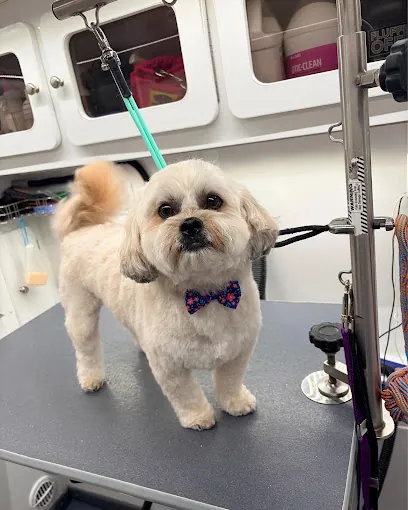 DapperTails Mobile Pet Grooming of South Denver — photo from their website