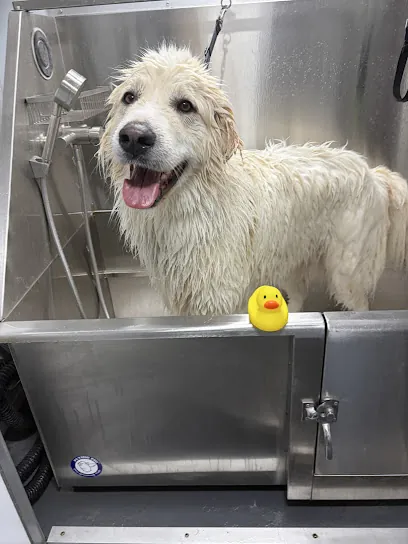 Scott's Mobile Dog Grooming — photo from their website