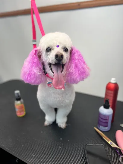 The Pet grooming Van — photo from their website