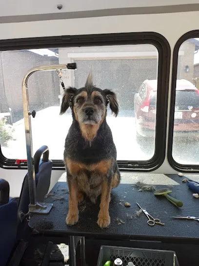 AB Mobile Pet Groomer — photo from their website