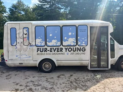 Fur-Ever Young Mobile Dog Grooming — photo from their website