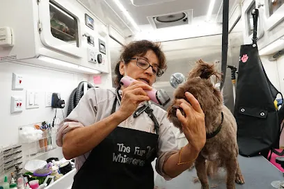 Peewee and Friends Mobile Grooming — photo from their website