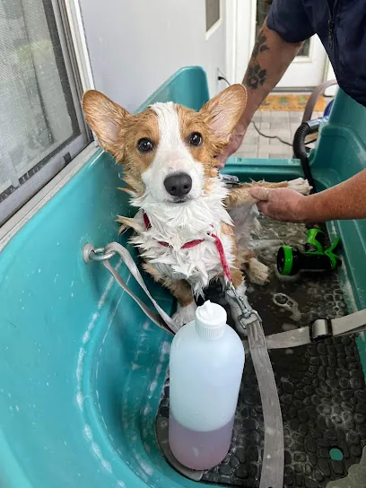 PawsNSuds Mobile Dog Spa — photo from their website