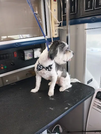 yadi mobile dog grooming of fl — photo from their website