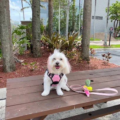 Kisses House-Call Mobile Grooming — photo from their website