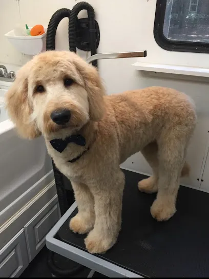 Pampered Pups Mobile Grooming — photo from their website