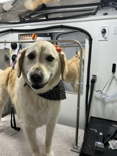 Furry Land Mobile Pet Grooming Cleveland + Akron + Canton + Surrounding Areas — business logo from Google