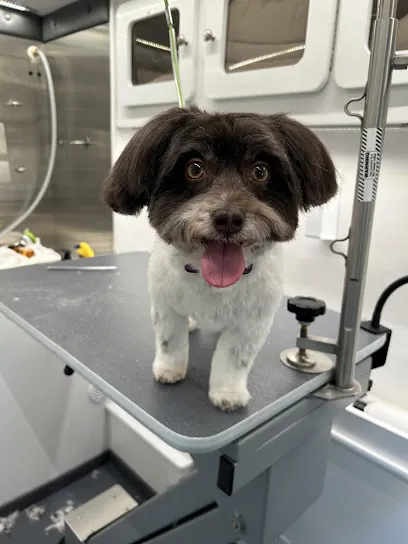 Kenna’s Divine K-9 — photo from their website