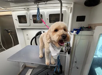 Dapper Dog Mobile Grooming — photo from their website