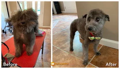 Roomin 2 Groomin — photo from their website