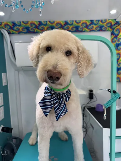 Salty Scissors Mobile Dog Grooming — photo from their website
