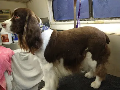 DeAana & The Big Blue Dog Mobile Grooming LLC — photo from their website