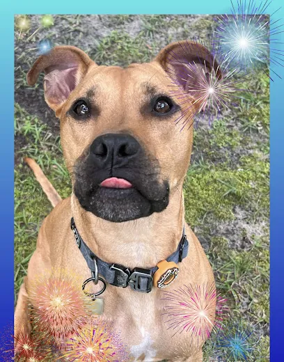 Barking Bubbles Mobile Pet Spa LLC — photo from their website