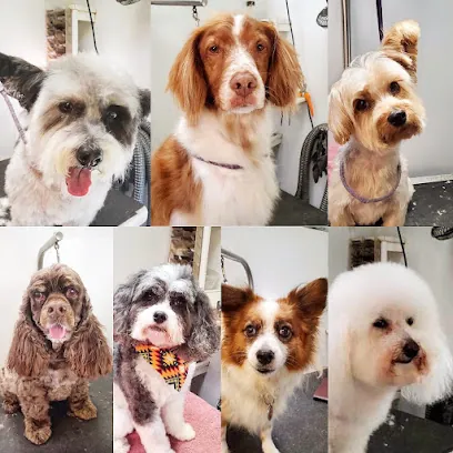 Critters Mobile Pet Grooming — photo from their website