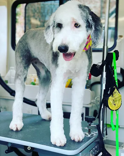 Houndstooth Mobile Grooming — photo from their website