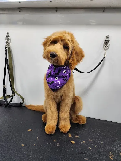 Lake Mobile Grooming — photo from their website