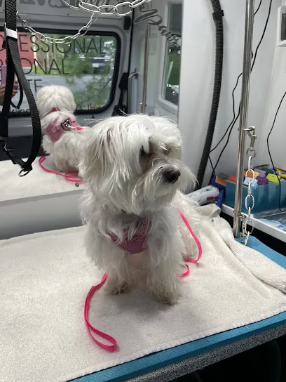 HighlandK9Spa mobile dog grooming — photo from their website