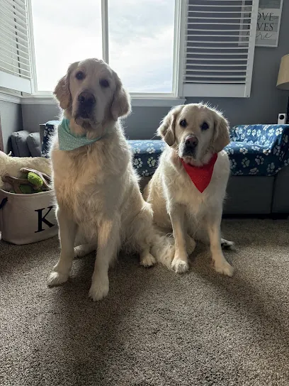 Foothills Mobile Dog Grooming — photo from their website