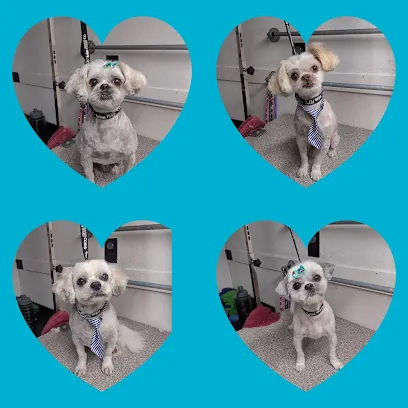 Sirius Grooming — photo from their website