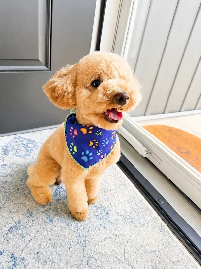 Bark and Paws Mobile Pet Grooming — photo from their website