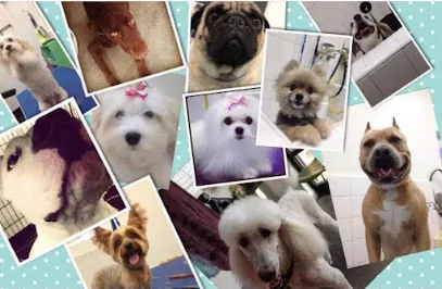 Magical Pretty Pets Mobile Grooming — photo from their website